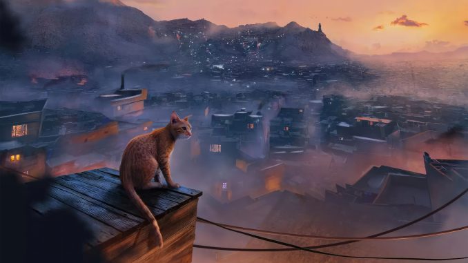 stray-cat-oq